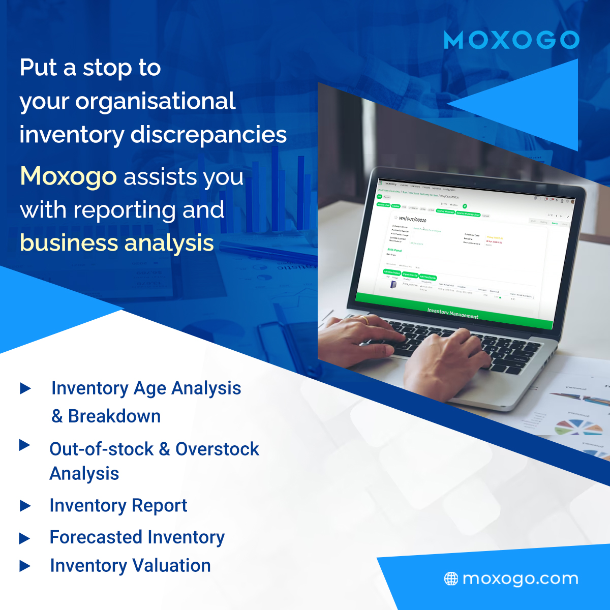 Moxogo social media content