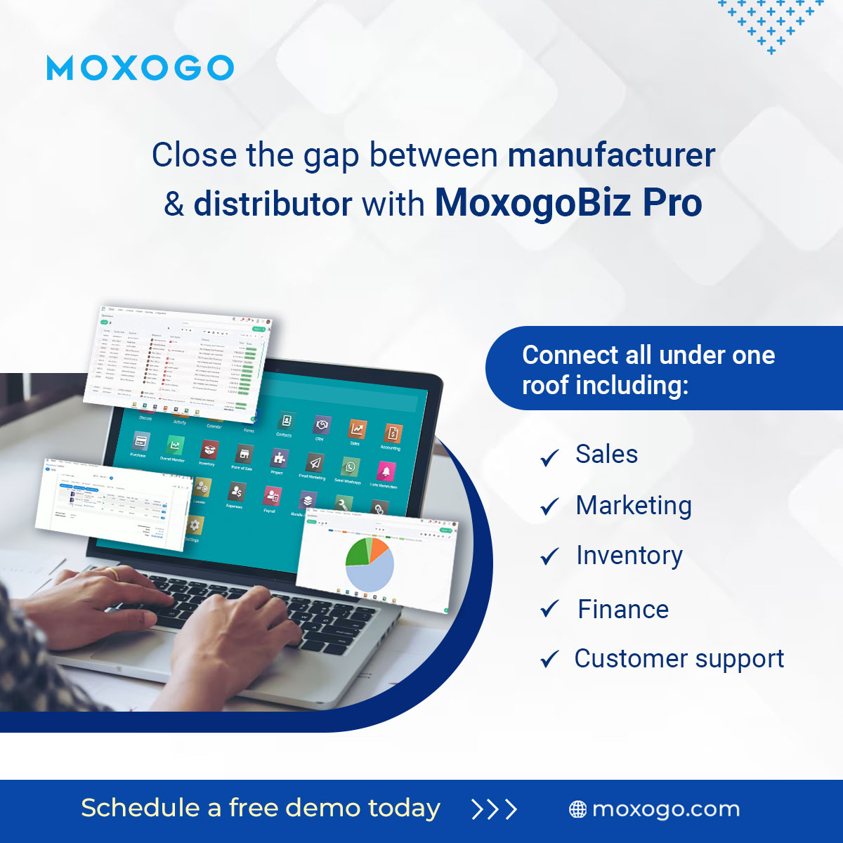 Moxogo social media content